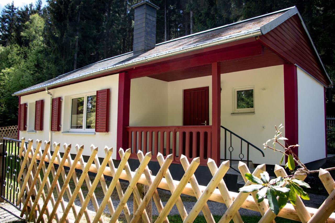 Neuer Anbau Erzgebirgsidyll Breitenbrunn - Waldhaus מראה חיצוני תמונה