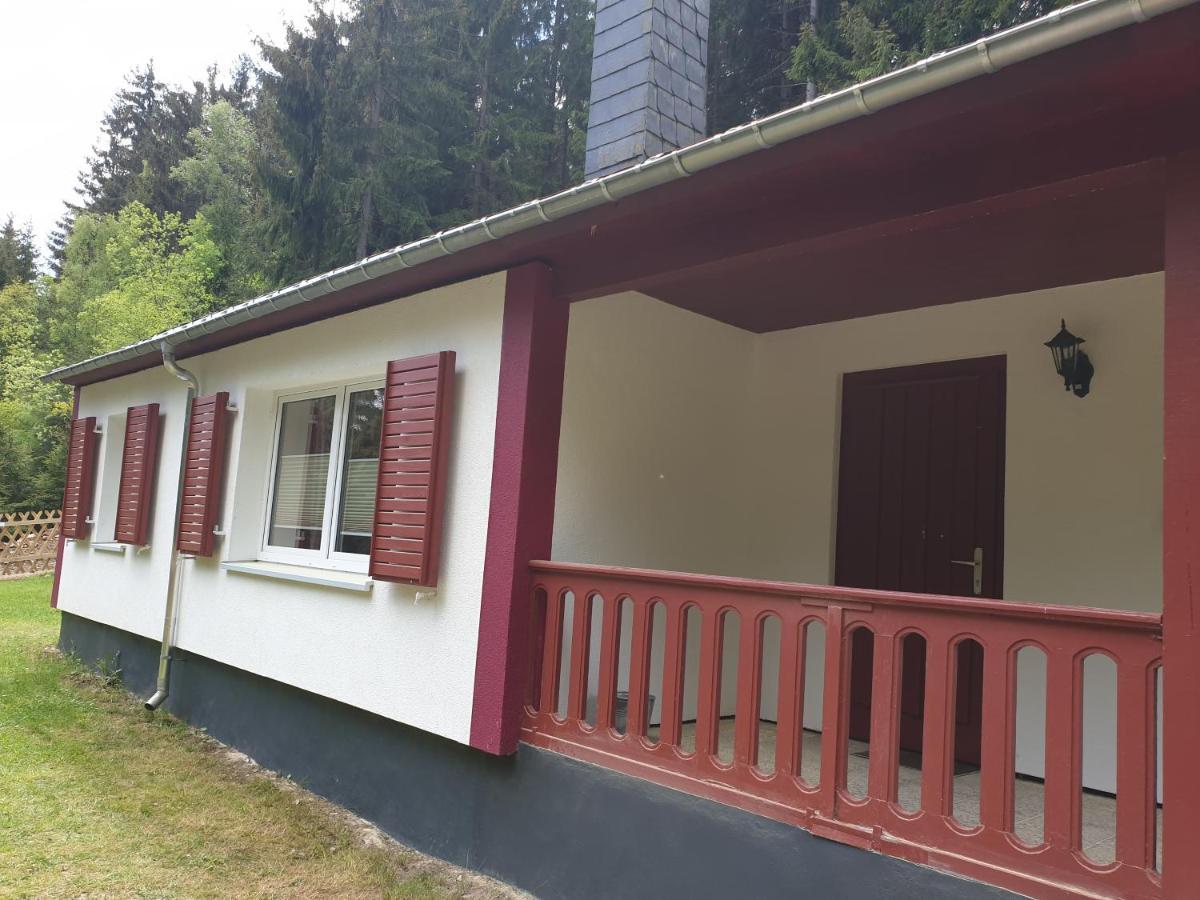 Neuer Anbau Erzgebirgsidyll Breitenbrunn - Waldhaus מראה חיצוני תמונה