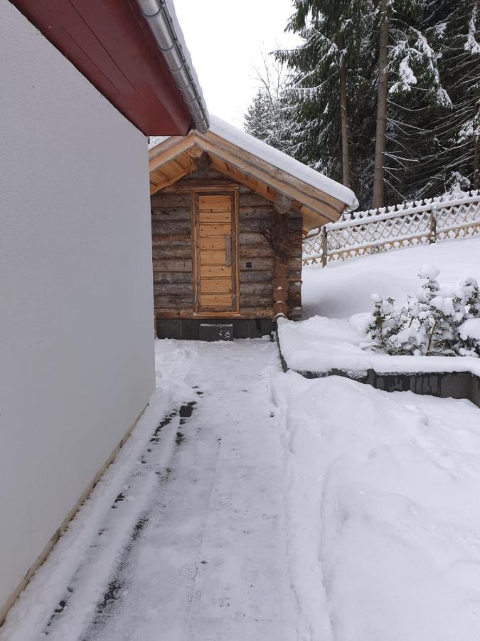 Neuer Anbau Erzgebirgsidyll Breitenbrunn - Waldhaus מראה חיצוני תמונה